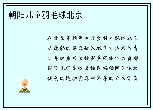 朝阳儿童羽毛球北京