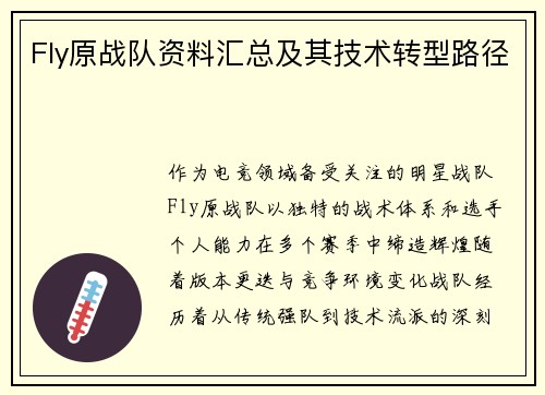 Fly原战队资料汇总及其技术转型路径