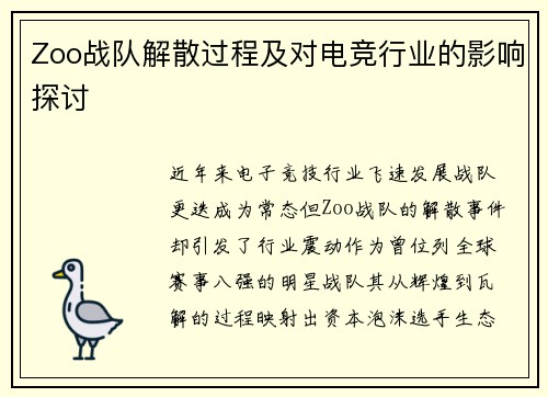 Zoo战队解散过程及对电竞行业的影响探讨